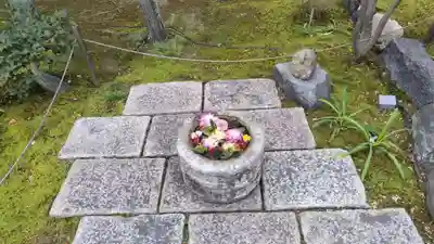 勝林寺(京都府)