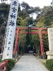 來宮神社の鳥居