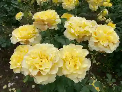 霊山寺(奈良県)