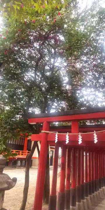 花園神社(東京都)