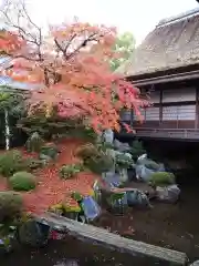 醍醐寺(京都府)