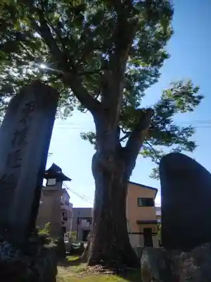 天照神明宮(福島県)