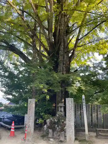 大窪寺(香川県)