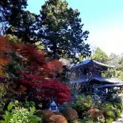 龍潭寺の建物その他