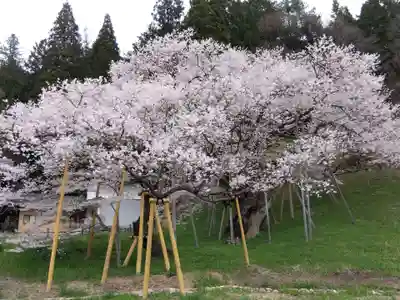 大幢寺(岐阜県)