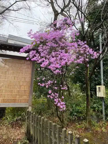青渭神社(東京都)