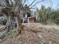 関場神社(福島県)