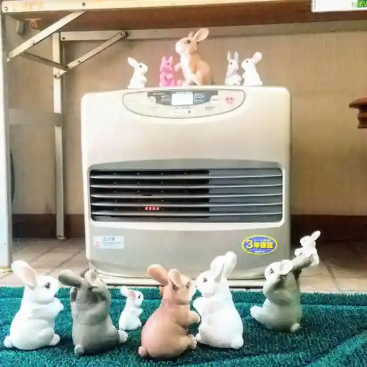 彌彦神社 (伊夜日子神社)の像