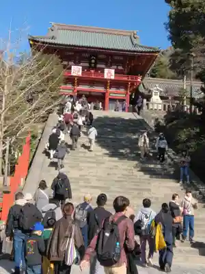 鶴岡八幡宮の初詣