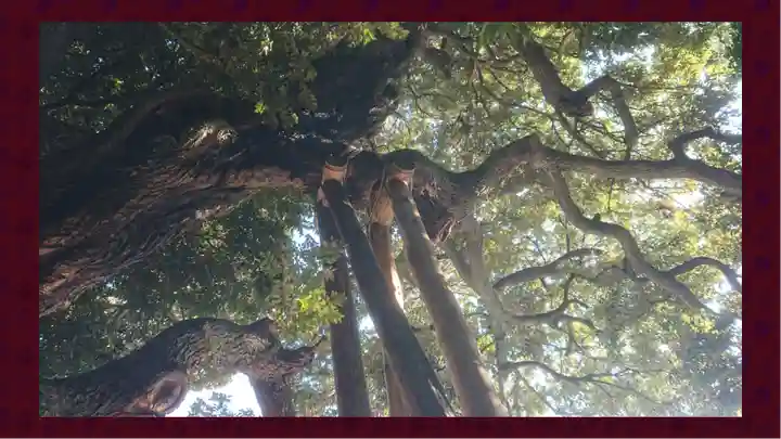 九重神社(埼玉県)