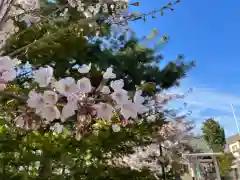 烈々布神社(北海道)