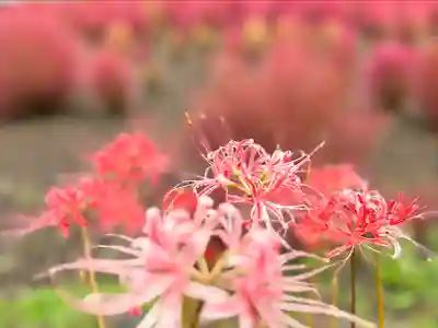 遠照寺(山梨県)