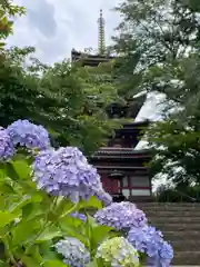 本土寺の塔