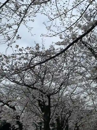 靖國神社(東京都)
