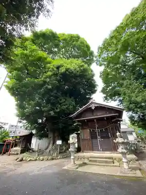 熊野神社(東京都)