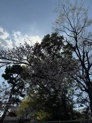 桜神宮(東京都)