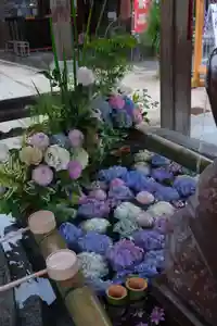 十日恵比須神社(福岡県)(2025年06月10日(火) 09時35分34秒投稿)