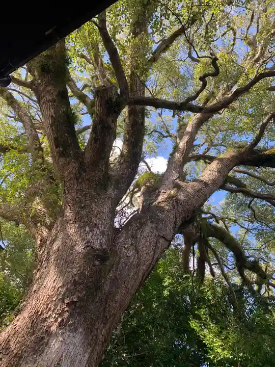防府天満宮の自然