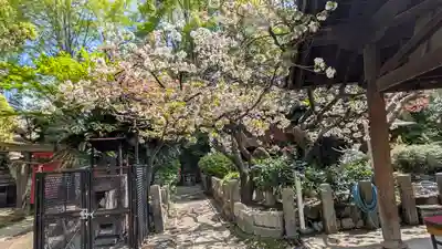 了徳院(大阪府)