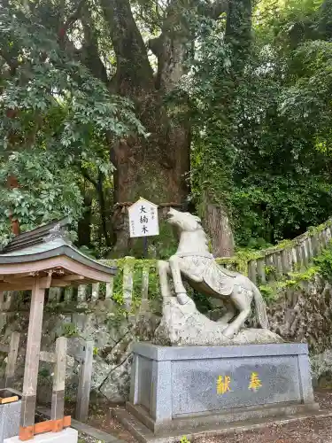 八幡朝見神社(大分県)
