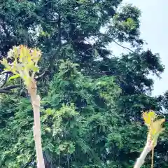 豊景神社の自然