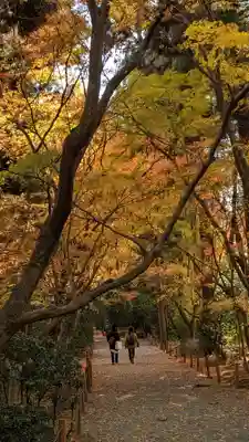 龍安寺(京都府)