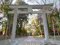 谷保天満宮の鳥居