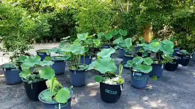 元興寺(奈良県)