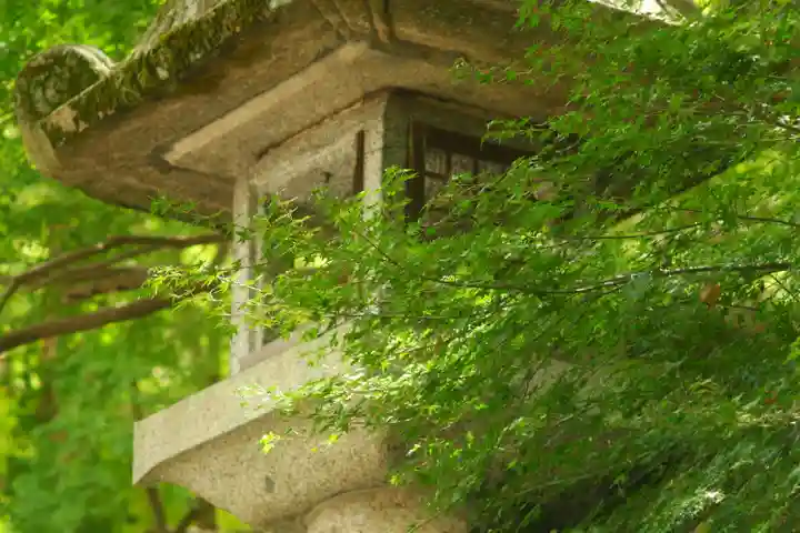 枚岡神社の自然