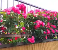 寿量山 速成寺の庭園