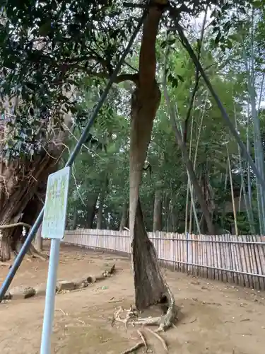 峯ヶ岡八幡神社(埼玉県)