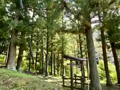 大山祇神社の自然