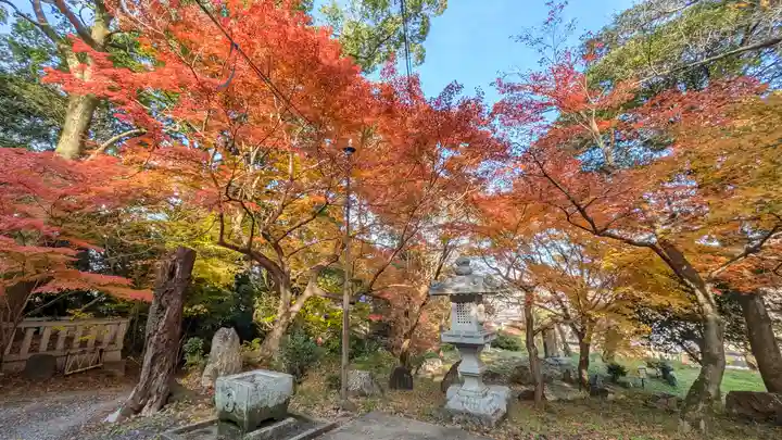 岩屋寺(京都府)