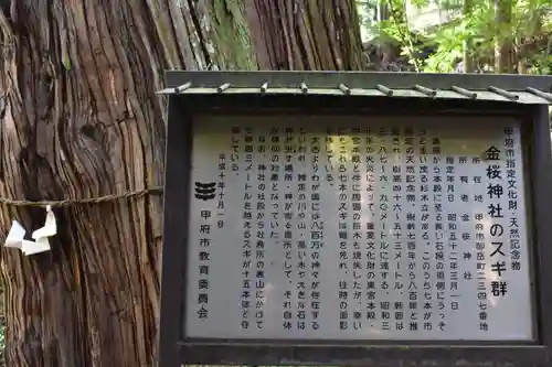 金櫻神社の歴史