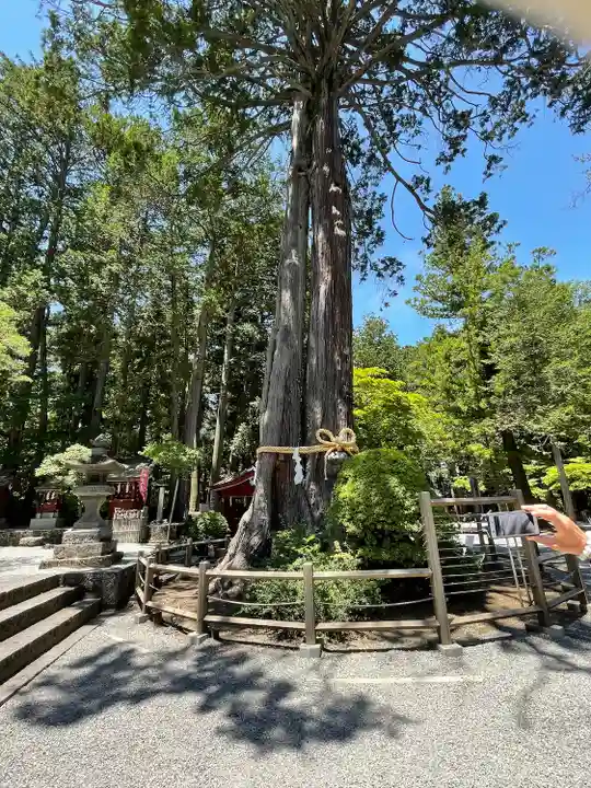 北口本宮冨士浅間神社(山梨県)