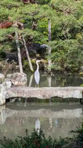 等持院(京都府)