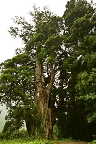 五所神社(徳島県)