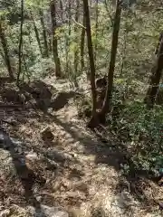 琴平神社(埼玉県)