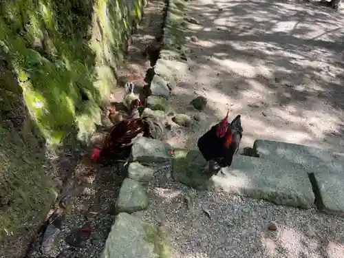 石上神宮(奈良県)