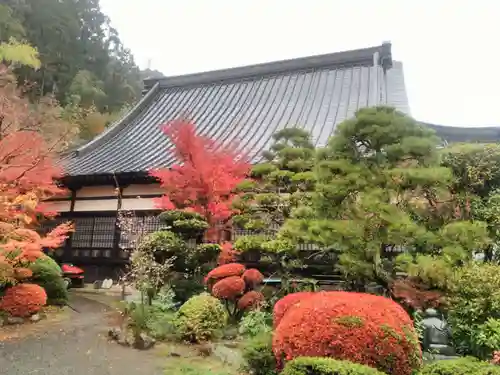 円福寺の本殿