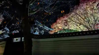 妙顯寺（妙顕寺）(京都府)