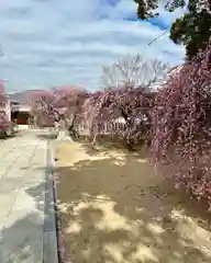 屯倉神社(大阪府)