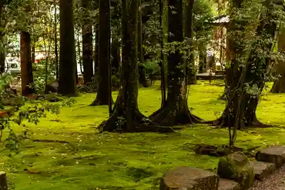 都農神社(宮崎県)