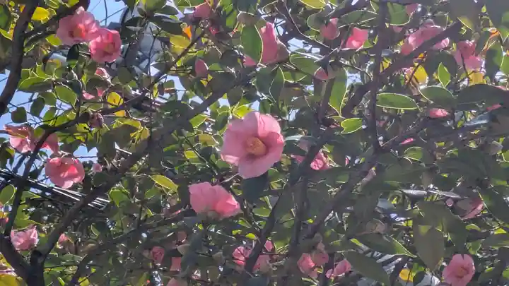 霊源院(京都府)