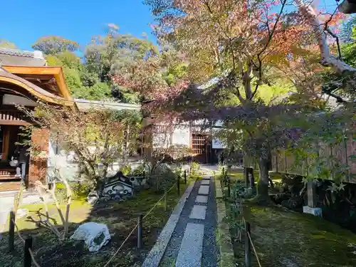 龍吟庵（竜吟庵）(京都府)