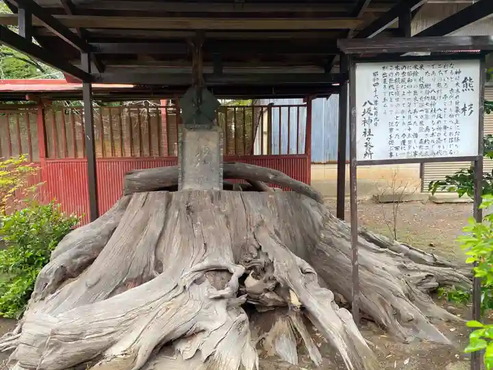 八坂神社(群馬県)