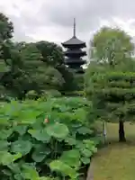 東寺(教王護国寺)のその他建物