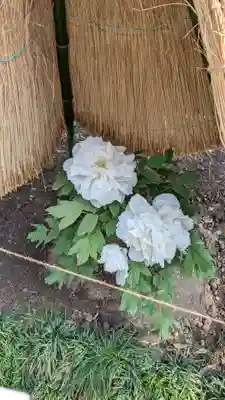 祐徳稲荷神社(佐賀県)