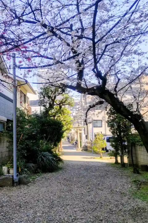 秋葉神社の{uncategorized: "未分類", other: "その他", undefined: "問題あり", building: "その他建物", grave: "お墓", sacred_gate: "鳥居", guardian: "狛犬", statue: "像", buddha: "仏像", history: "歴史", nature: "自然", garden: "庭園", animal: "動物", pagoda: "塔", temizu: "手水舎", mountain_gate: "山門・神門", sanctuary: "本殿・本堂", subordinate: "末社・摂社", art: "芸術", scenery: "景色", jizo: "地蔵", ema: "絵馬", goshuin: "御朱印", omikuji: "おみくじ", items: "授与品その他", amulet: "お守り", goshuincho: "御朱印帳", eats: "食事", festival: "お祭り", votive_dance: "神楽", shichigosan: "七五三参", wedding: "結婚式", experience: "体験その他", initially: "初詣", around: "周辺", anti_infection: "感染症対策"}