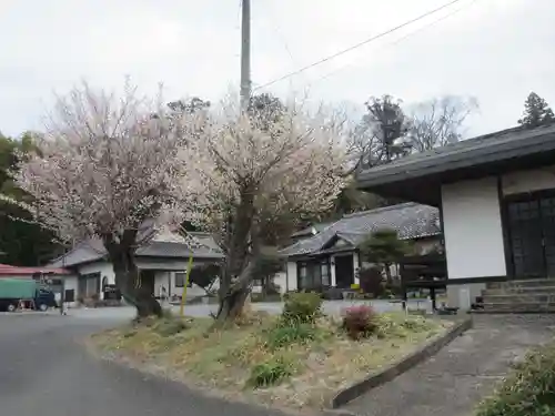 盛岸院(茨城県)